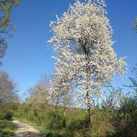 Prána Apartamento *