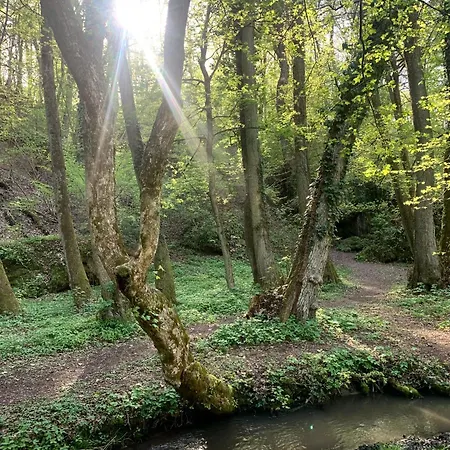 Διαμέρισμα Prana *