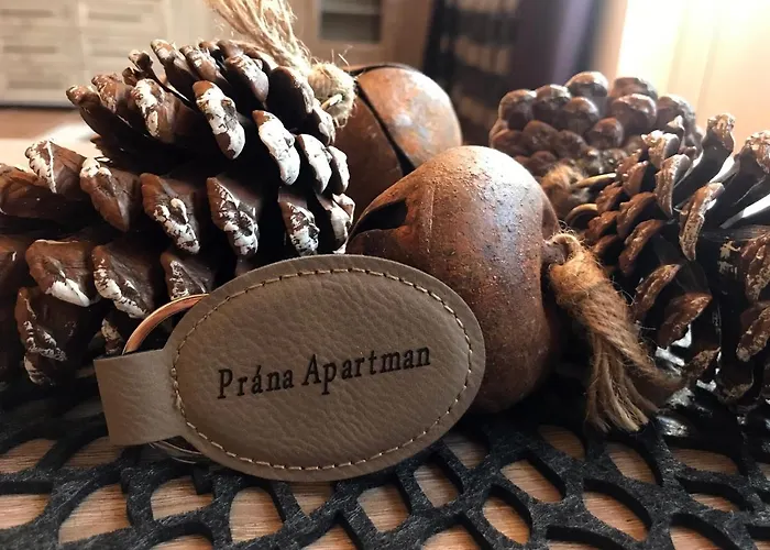 Apartment Prana Herend